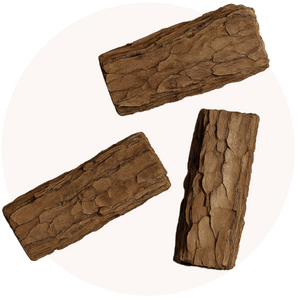Pycnogenol