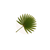 Ashwagandha99