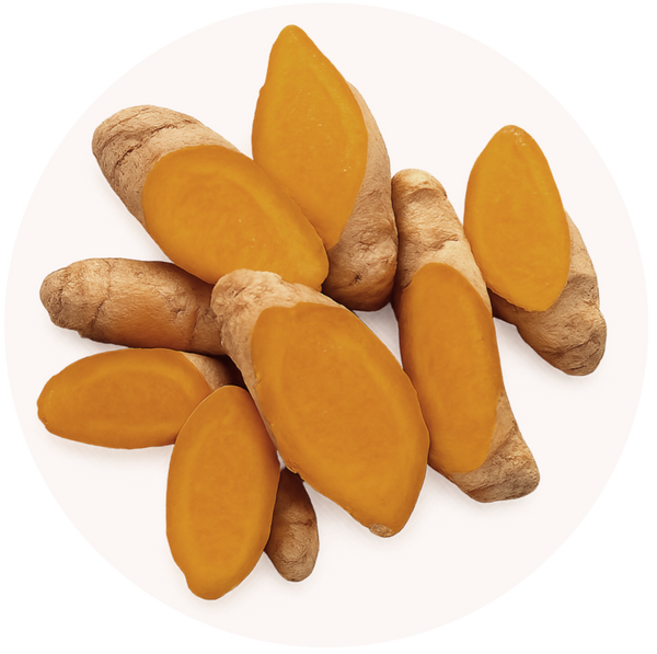 Turmeric