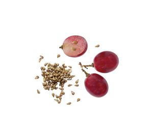 Grape Seed Extract