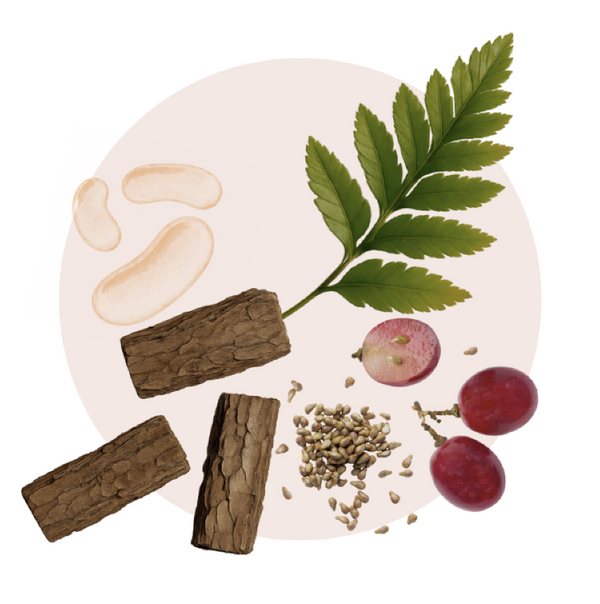 Full Ingredients List