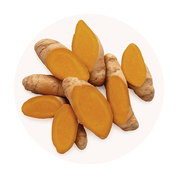 Turmeric
