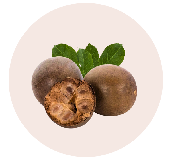 Monk Fruit Extract